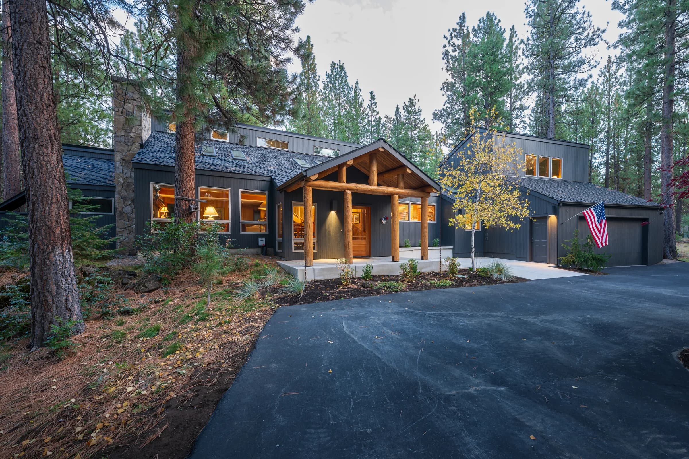 Ponderosa Pine, image 9