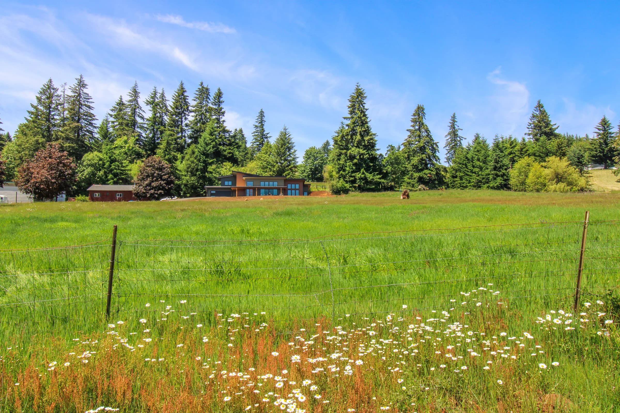 The Meadow House, image 16