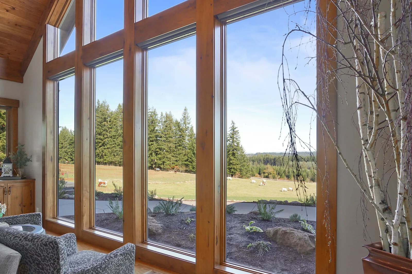 Silverton, image 13